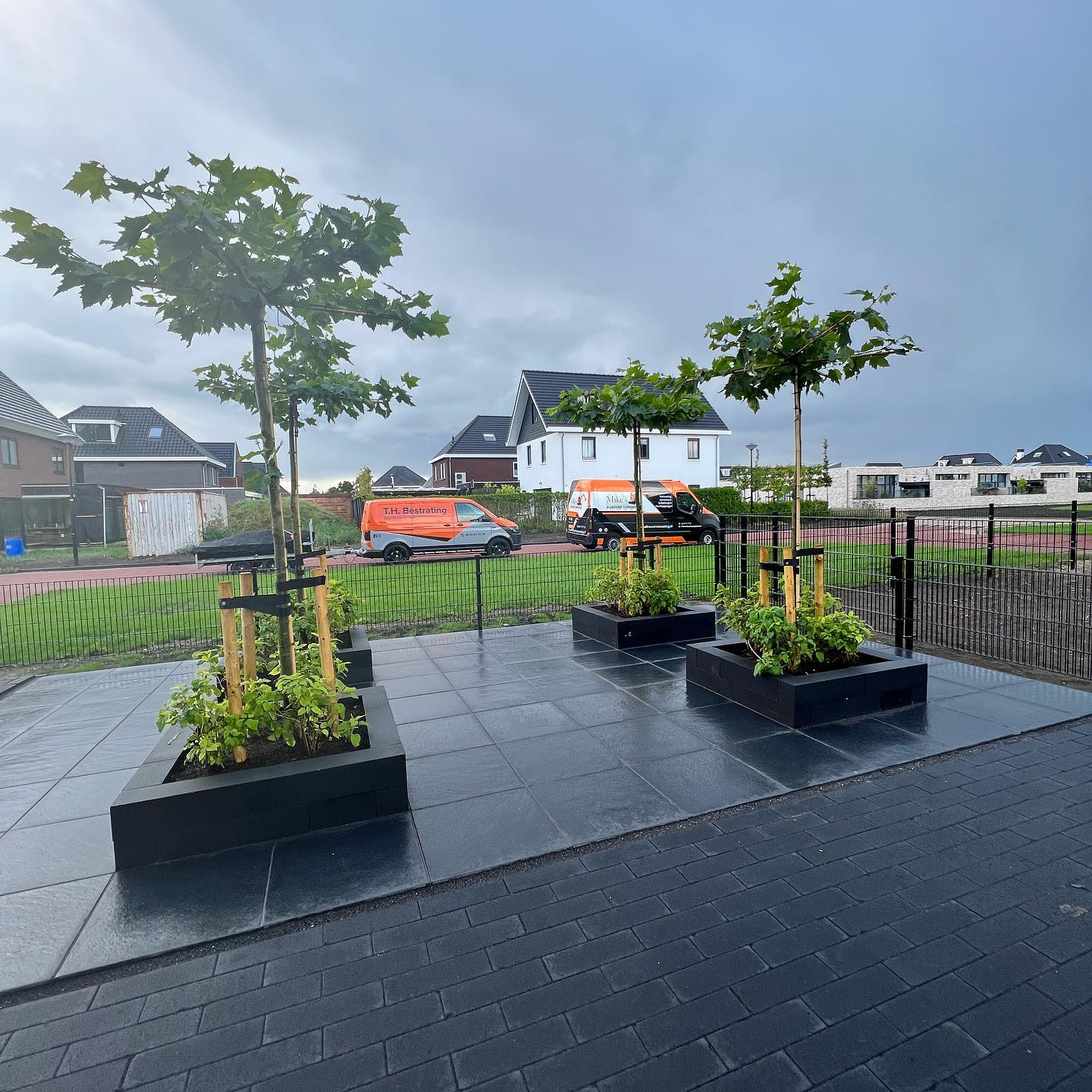 Hovenier Purmerend